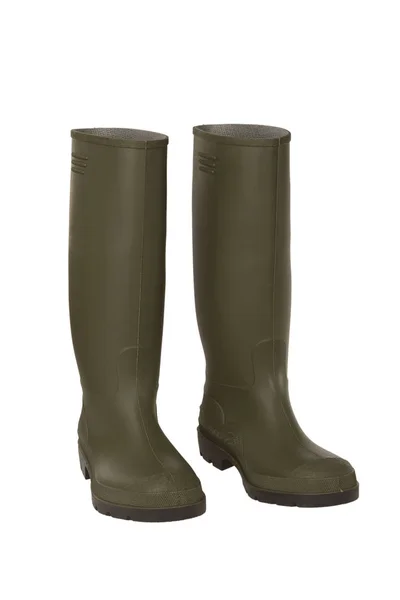 Green Rubber Boots — Stock Photo, Image