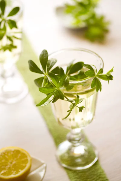 Fresh Woodruff Punch — Stock Photo, Image