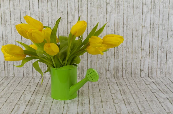 Yellow tulips in green watering can — Stock Photo, Image