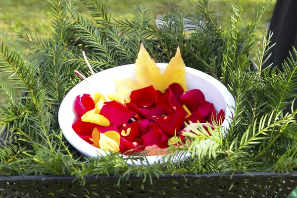 Detail van bloesem bladeren op een begrafenis — Stockfoto