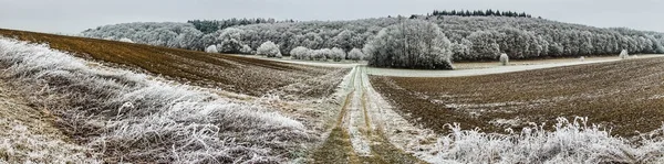 凍るような冬の風景 — ストック写真