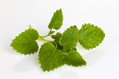 Taze nane yaprakları