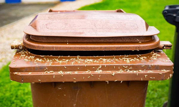 Big Garbage Container Stock Photo by ©Colour 160824482