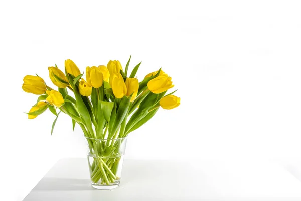 Beautiful Yellow Tulips — Stock Photo, Image