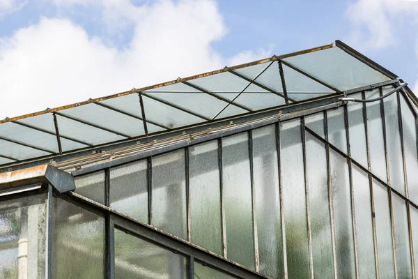 Detail from Greenhouse — Stock Photo, Image