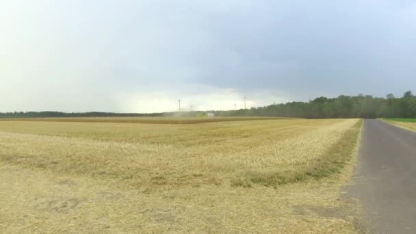 Harvester Combine Harvesting Wheat — Stock Video