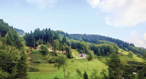 Krajina Černého lesa — Stock fotografie