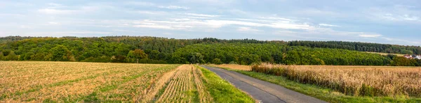 Summer farmland panorama — ストック写真