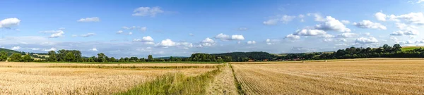 Beautiful wide Meadows in Summer — 스톡 사진