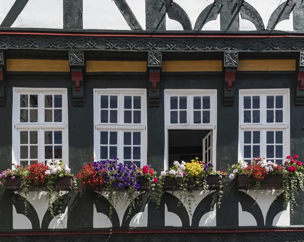 Flowers on Balcony — Stock Photo, Image