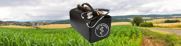 Concept Country Doctor Panorama Tyska Naturområden Sommaren Nordhessen — Stockfoto