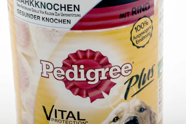 Huettenberg Tyskland 2020 Product Shot Can Pedigree Animal Food Isolerad — Stockfoto