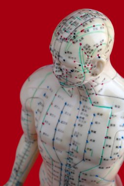 Akupunktur Model kırmızı zemin üzerine izole