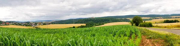 Panorama Niemieckie Łąki Przyrodnicze Lecie North Hesse — Zdjęcie stockowe