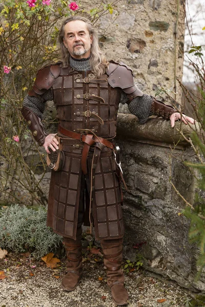 歴史的な中世の布で印象的な騎士をポーズ — ストック写真