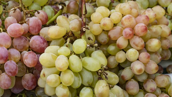 Fresh Red Green Grapes Detail Market — Stock Photo, Image