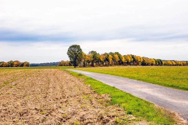 Land Mit Bäumen Deutschland — Stockfoto