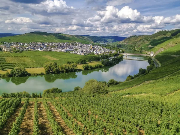 Mosel Loop Dia Nublado Vista Verão Para Trittenheim Alemanha — Fotografia de Stock