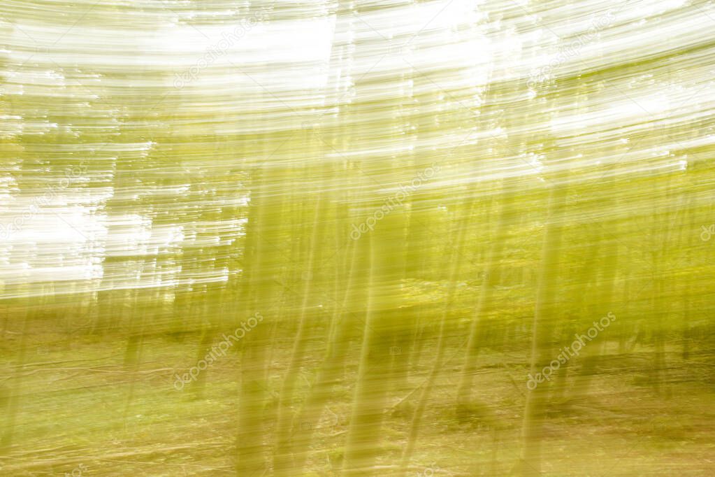 Motion blurred foliage and trees in autumn