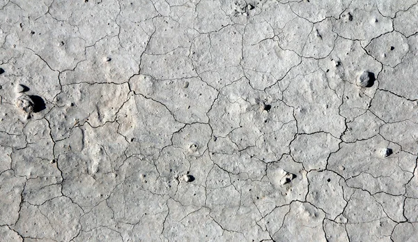 Dry Cracked Ground — Stock Photo, Image