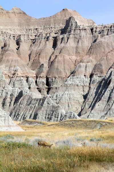 Badlands Ulusal parkta otlatma geyik