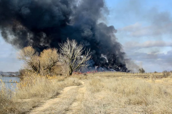 Fuego en la estepa de otoño — Foto de Stock