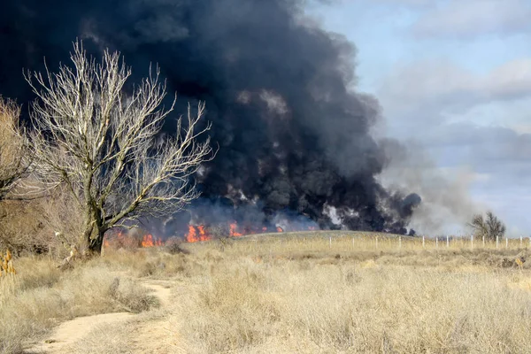 Le feu dans la steppe d'automne — Photo