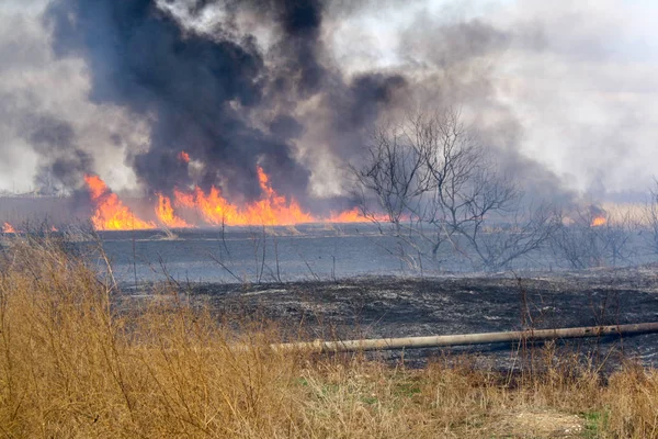 Sonbahar bozkır içinde ateş