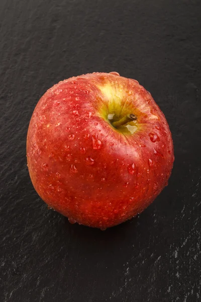 One wet apple on slate — Stock Photo, Image