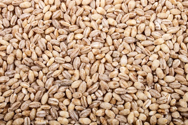 Dry pearl barley, also to use as background — Stock Photo, Image