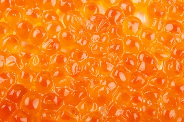 Oranje zalm kaviaar als achtergrond wilt gebruiken — Stockfoto