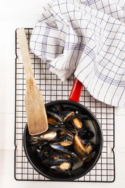 Freshly cooked mussels in an enamel pot — Stock Photo, Image