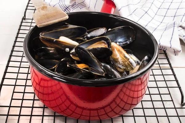 Freshly cooked mussels in a red enamel pot — Stock Photo, Image