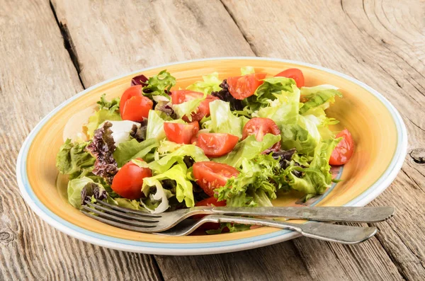 Fresh summer salad with tomatoes and goat cheese — Stock Photo, Image