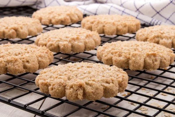 Homemade oatmeal biscuit on a cooling rack — Stock Photo, Image