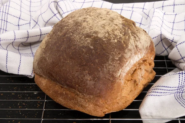 Warm ontbijt bap op een koeling rek — Stockfoto