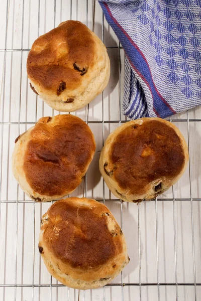 Baked british raisin scone on cooling rack — Stock Photo, Image