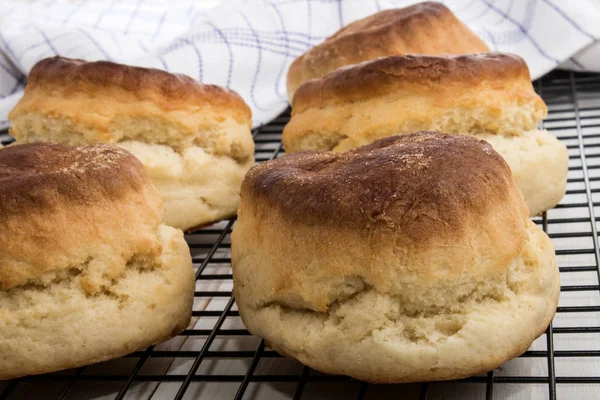 Fresh baked british plain scone — Stock Photo, Image