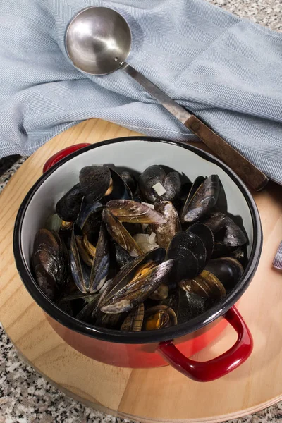 Scottish mussel in white wine — Stock Photo, Image