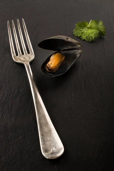 Fork with cooked mussel and coriander — Stock Photo, Image