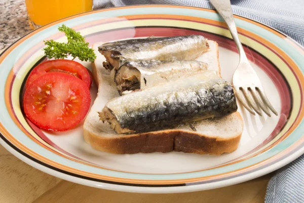 Sardines in oil on a slice of toast bread — Stock Photo, Image