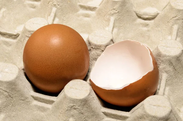 Huevo fresco y cáscara de huevo en una caja de huevo — Foto de Stock
