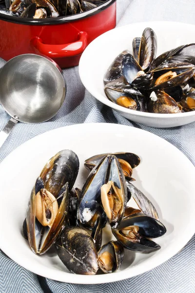 Freshly prepared mussels from scotland in a bowl — Stock Photo, Image