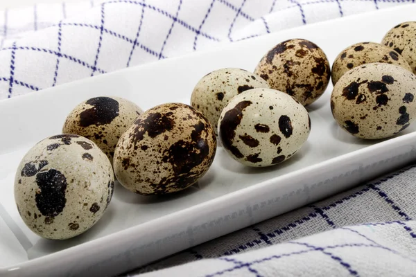 Свіжі перепелині яйця на білій тарілці — стокове фото