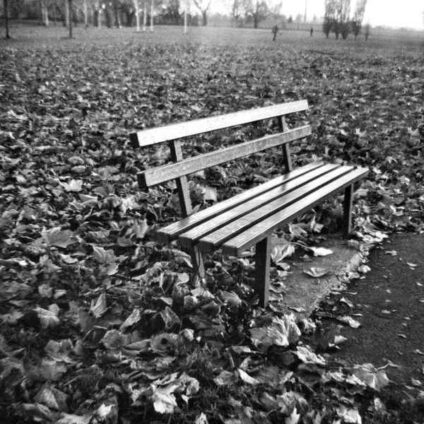 Le banc vide en automne — Photo