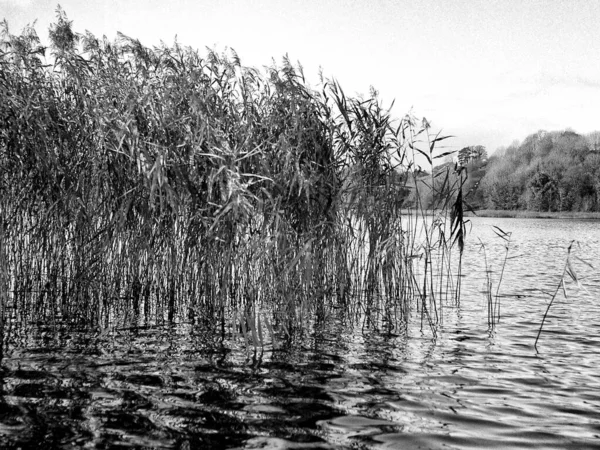 Lago Con Las Pequeñas Olas Otoño Esta Foto Blanco Negro Fotos de stock libres de derechos