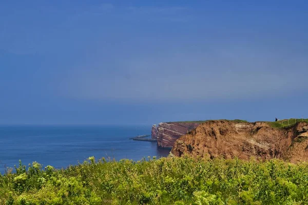 Coastline Heligoland Blue Sky Blue North Sea Green Flower Front — Stock Photo, Image