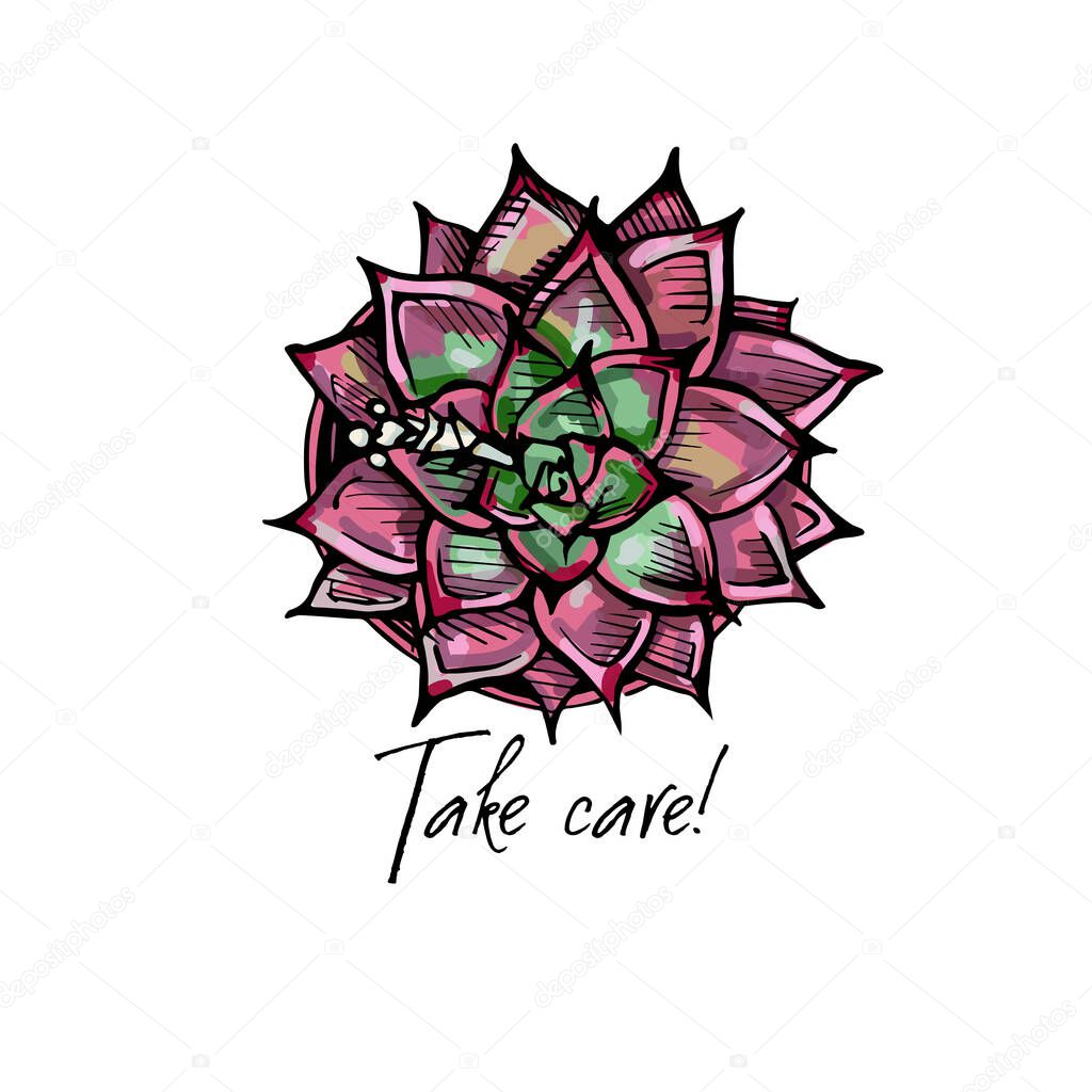 Hand drawn colored greeting card with flat lay ink succulent and handwritten text isolated on white background. Inscription: Take care. Vector illustration