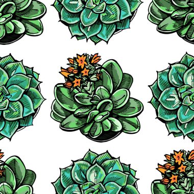 Kusursuz desenli, beyaz arka planda renkli, elle çizilmiş sulu şeyler. Paketleme, ambalaj, yüzey ve kumaş tasarımı için elverişli