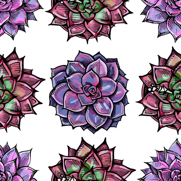 Seamless Pattern Colored Hand Drawn Succulents White Background Suitable Packaging Royalty Free Stock Vectors